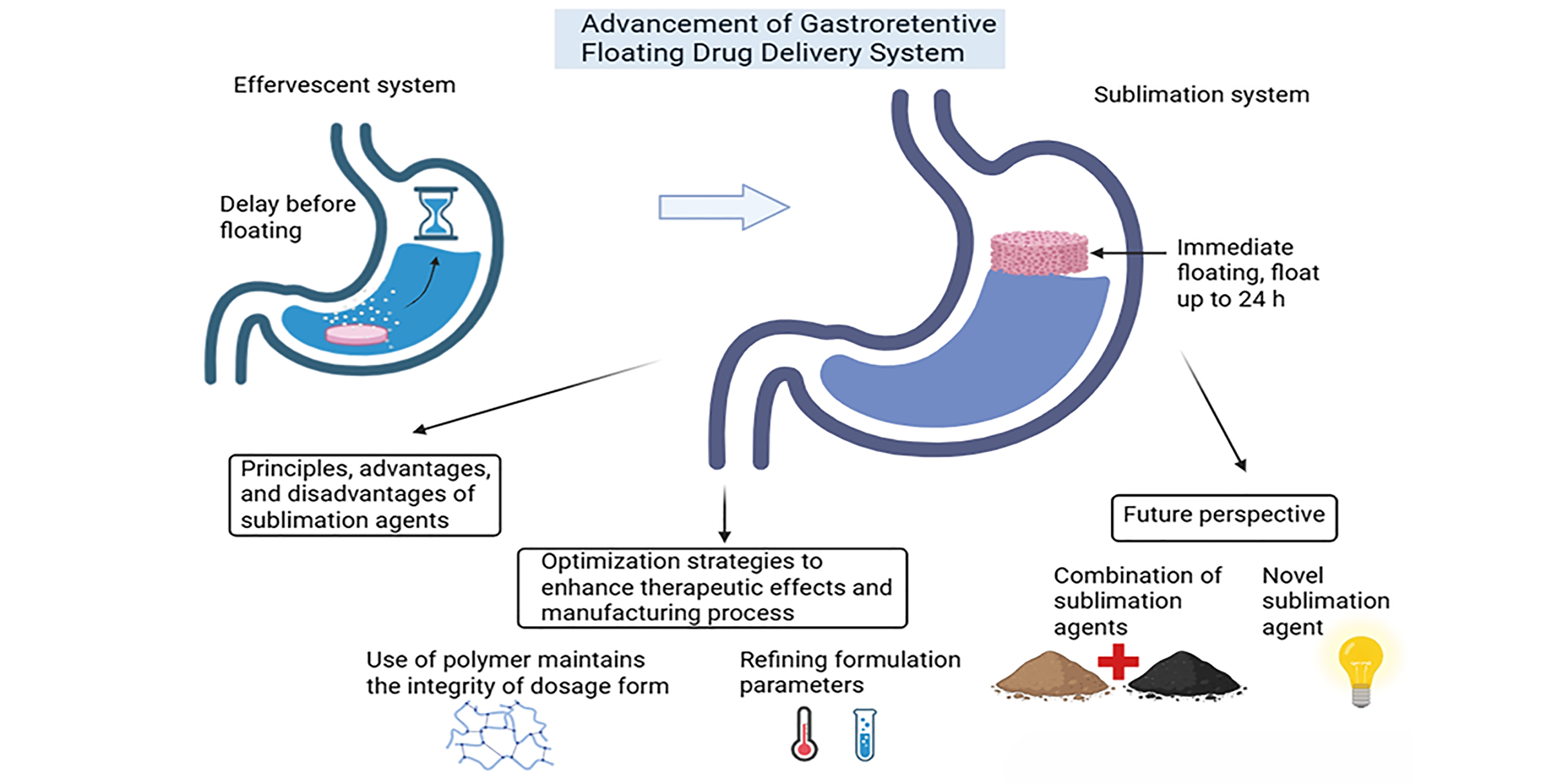 Graphical Abstract