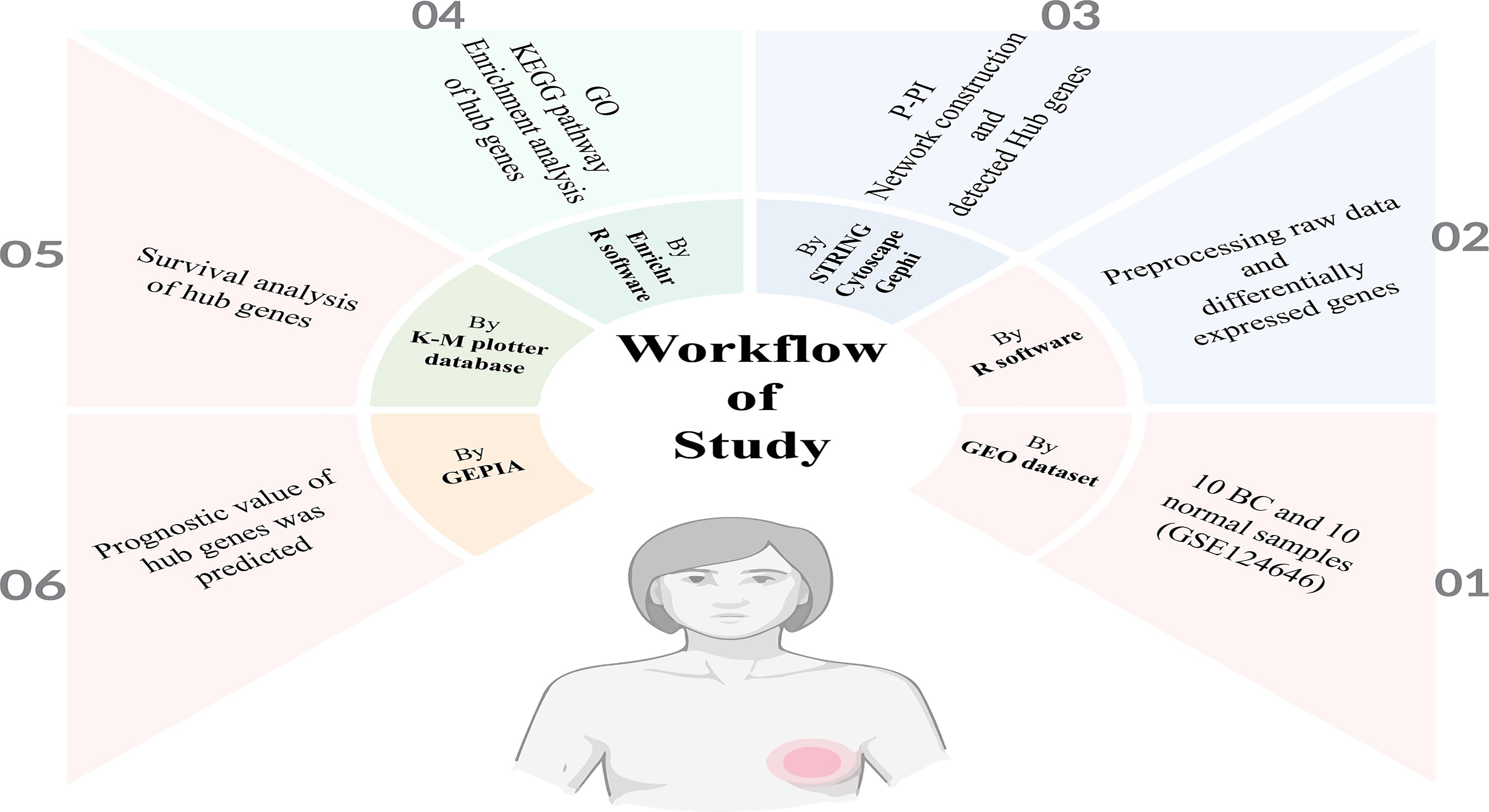 Graphical Abstract